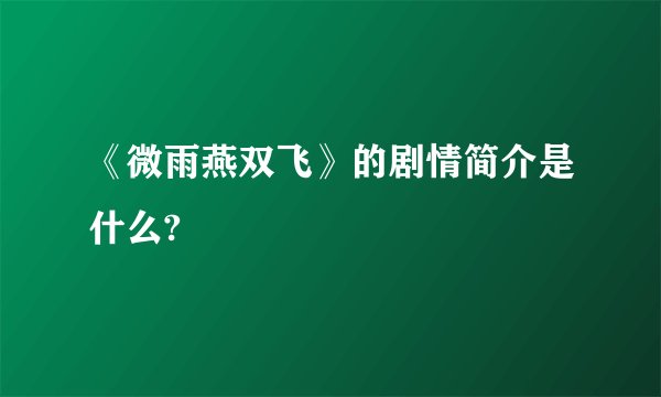 《微雨燕双飞》的剧情简介是什么?