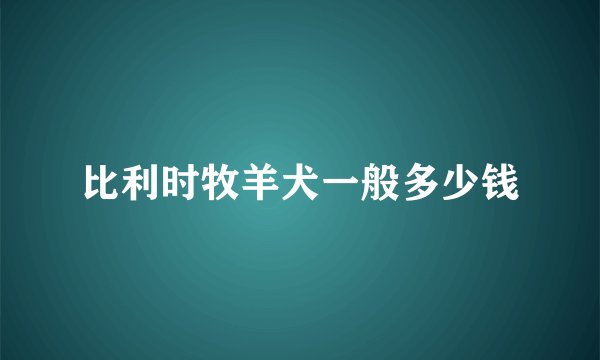 比利时牧羊犬一般多少钱