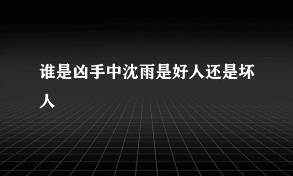 谁是凶手中沈雨是好人还是坏人