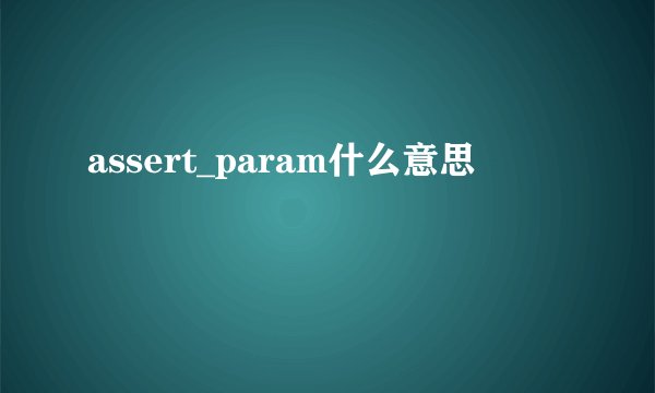 assert_param什么意思