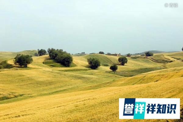 深圳领到的政策大礼包,吹响了房价转向的号角