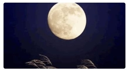 心朗如月自在如风形容什么?