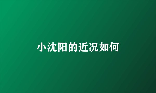 小沈阳的近况如何