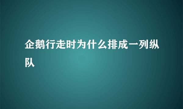 企鹅行走时为什么排成一列纵队