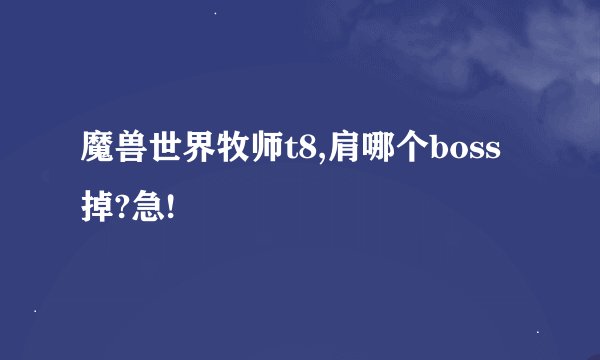 魔兽世界牧师t8,肩哪个boss掉?急!