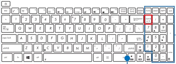 华硕笔记本为什么在输入字母时却变成了数字？