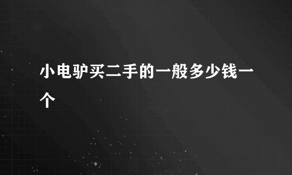 小电驴买二手的一般多少钱一个