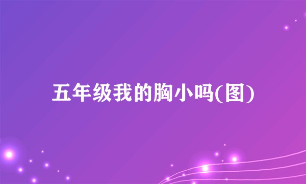 五年级我的胸小吗(图)