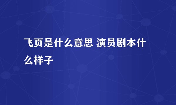 飞页是什么意思 演员剧本什么样子