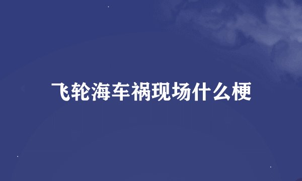 飞轮海车祸现场什么梗