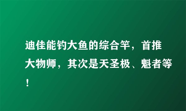 迪佳能钓大鱼的综合竿，首推大物师，其次是天圣极、魁者等！