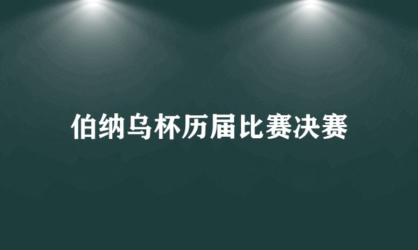 伯纳乌杯历届比赛决赛