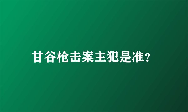 甘谷枪击案主犯是准？