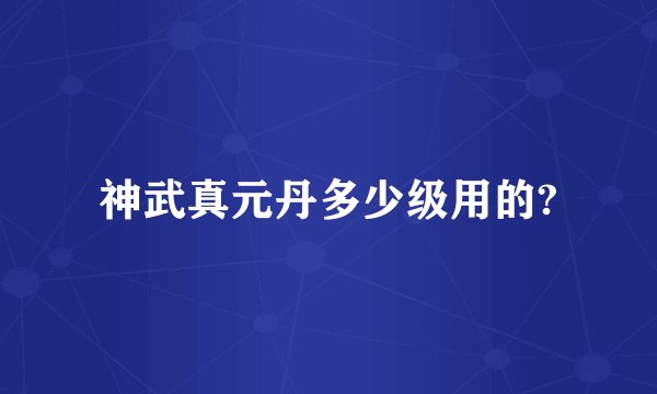 神武真元丹多少级用的?