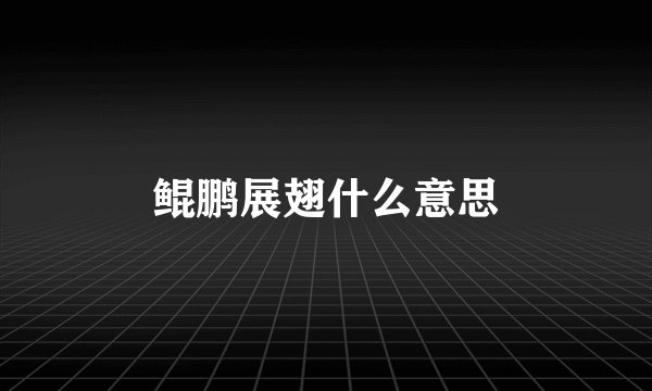 鲲鹏展翅什么意思
