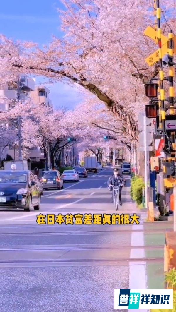 日本的贫富差距到底有多大?