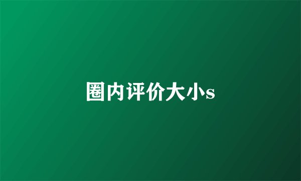 圈内评价大小s