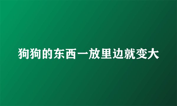 狗狗的东西一放里边就变大