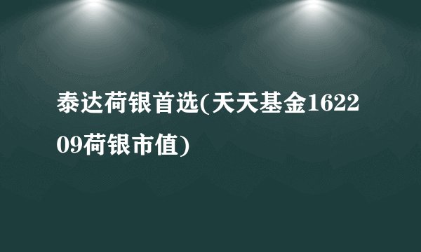 泰达荷银首选(天天基金162209荷银市值)