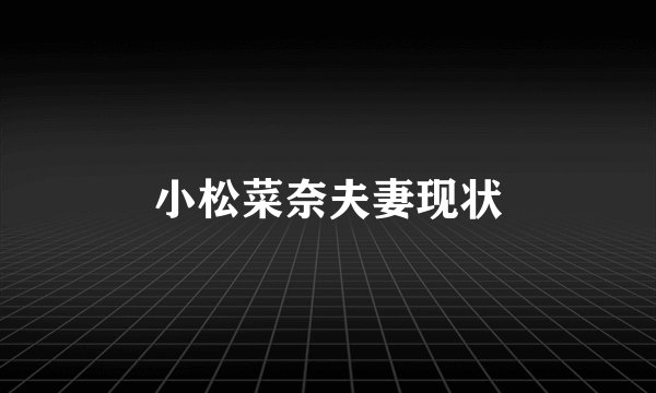 小松菜奈夫妻现状