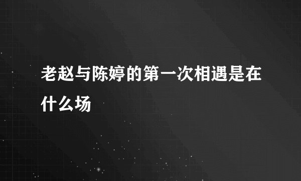 老赵与陈婷的第一次相遇是在什么场