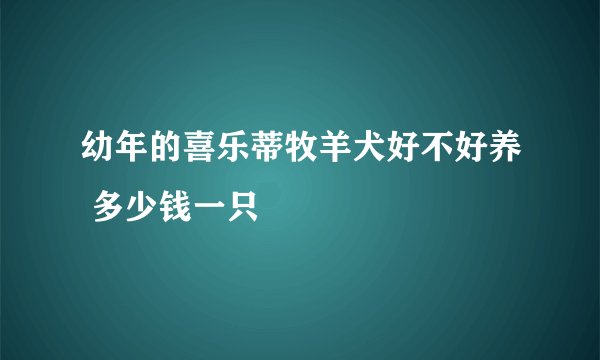 幼年的喜乐蒂牧羊犬好不好养 多少钱一只