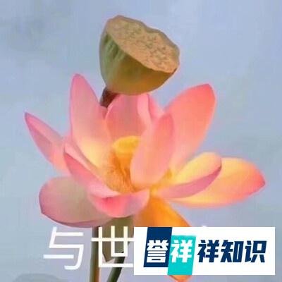 现在的年轻人，躺平可耻但却有用？