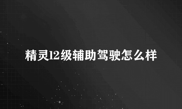精灵l2级辅助驾驶怎么样