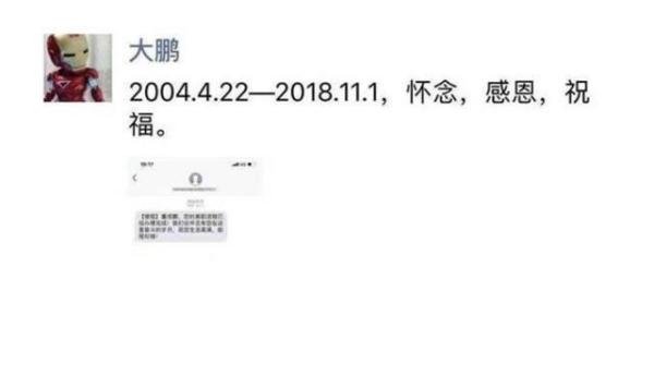 大鹏为什么从搜狐离职？ 大鹏从搜狐离职是什么原因？