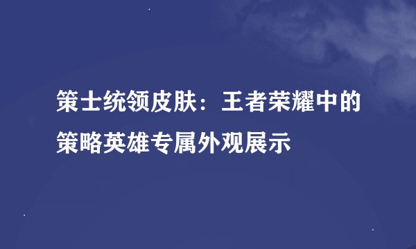 策士统领皮肤：王者荣耀中的策略英雄专属外观展示