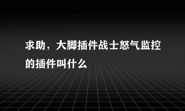 求助，大脚插件战士怒气监控的插件叫什么