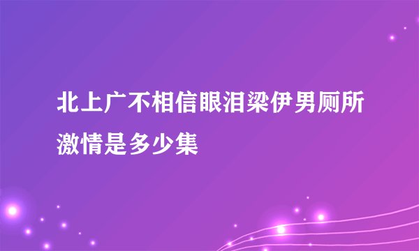 北上广不相信眼泪梁伊男厕所激情是多少集