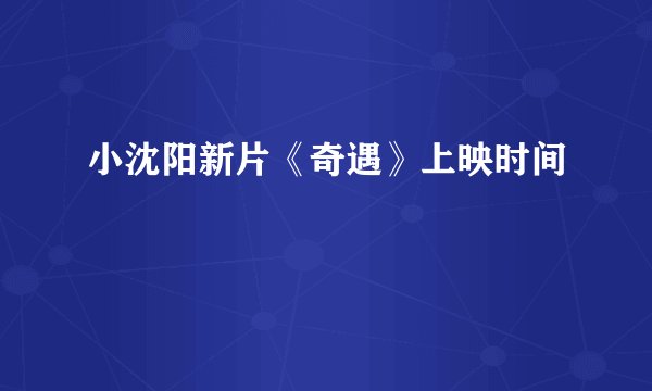 小沈阳新片《奇遇》上映时间