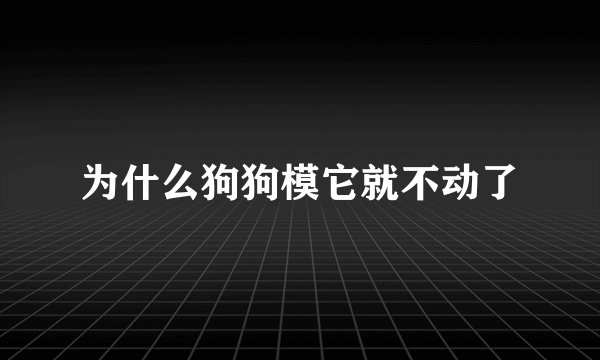 为什么狗狗模它就不动了