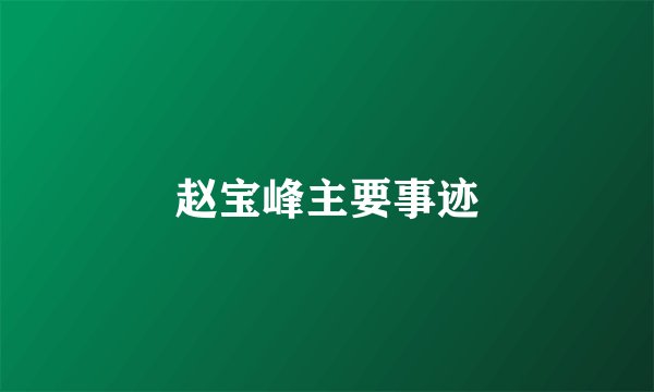 赵宝峰主要事迹