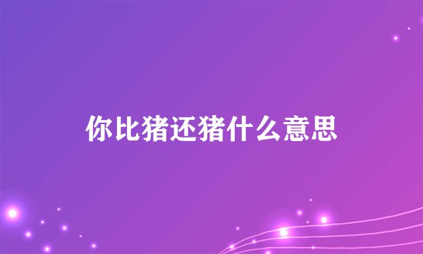 你比猪还猪什么意思