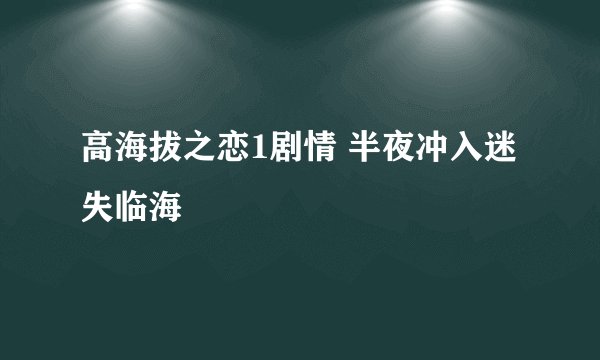 高海拔之恋1剧情 半夜冲入迷失临海