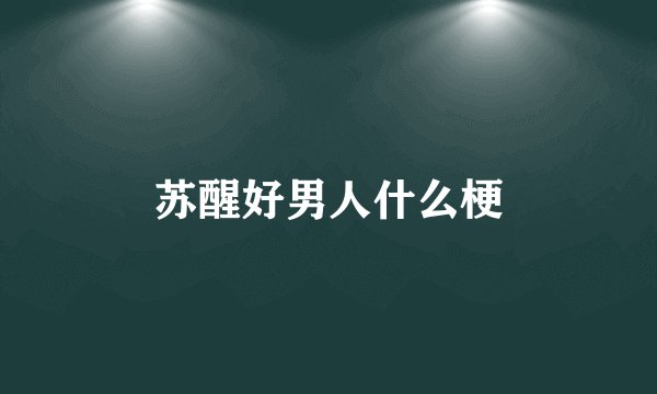 苏醒好男人什么梗