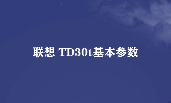 联想 TD30t基本参数