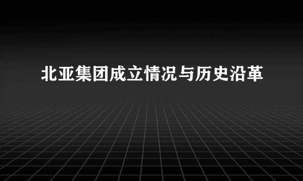 北亚集团成立情况与历史沿革