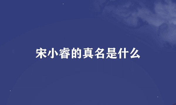 宋小睿的真名是什么