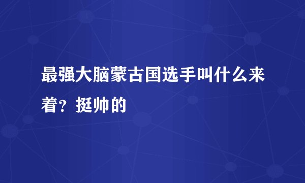 最强大脑蒙古国选手叫什么来着？挺帅的