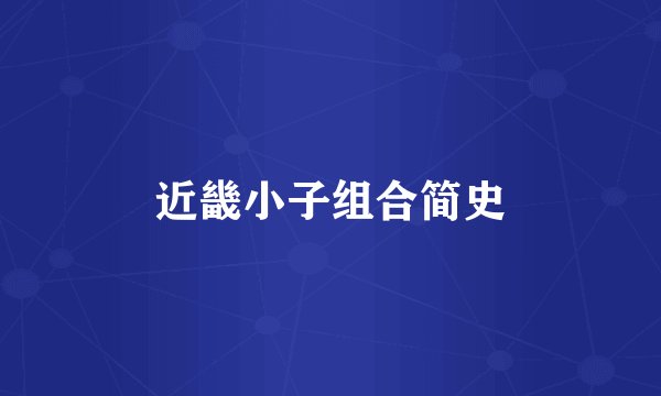 近畿小子组合简史