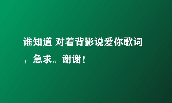 谁知道 对着背影说爱你歌词，急求。谢谢！