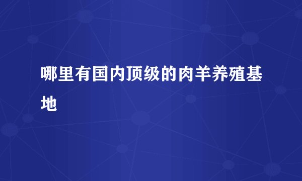 哪里有国内顶级的肉羊养殖基地