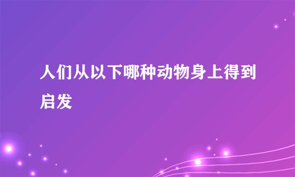 人们从以下哪种动物身上得到启发