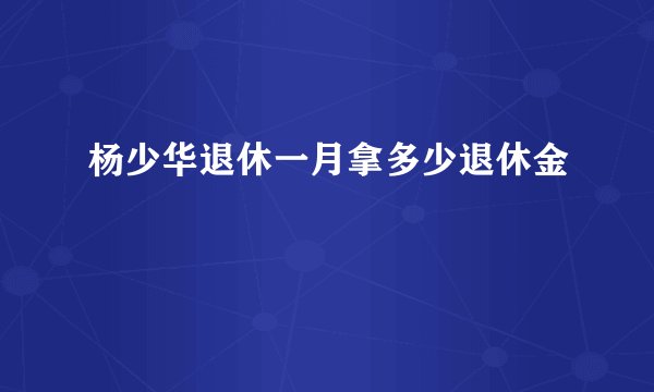 杨少华退休一月拿多少退休金
