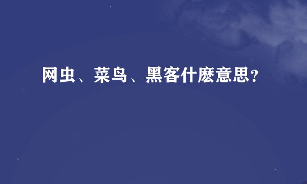 网虫、菜鸟、黑客什麽意思？