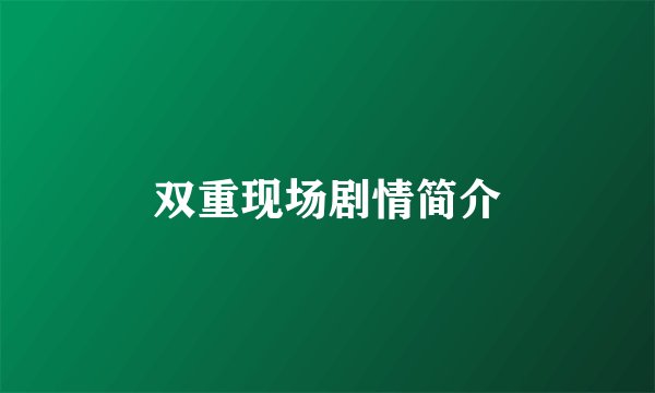 双重现场剧情简介