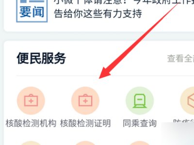 如何在手机上查询核算检测结果